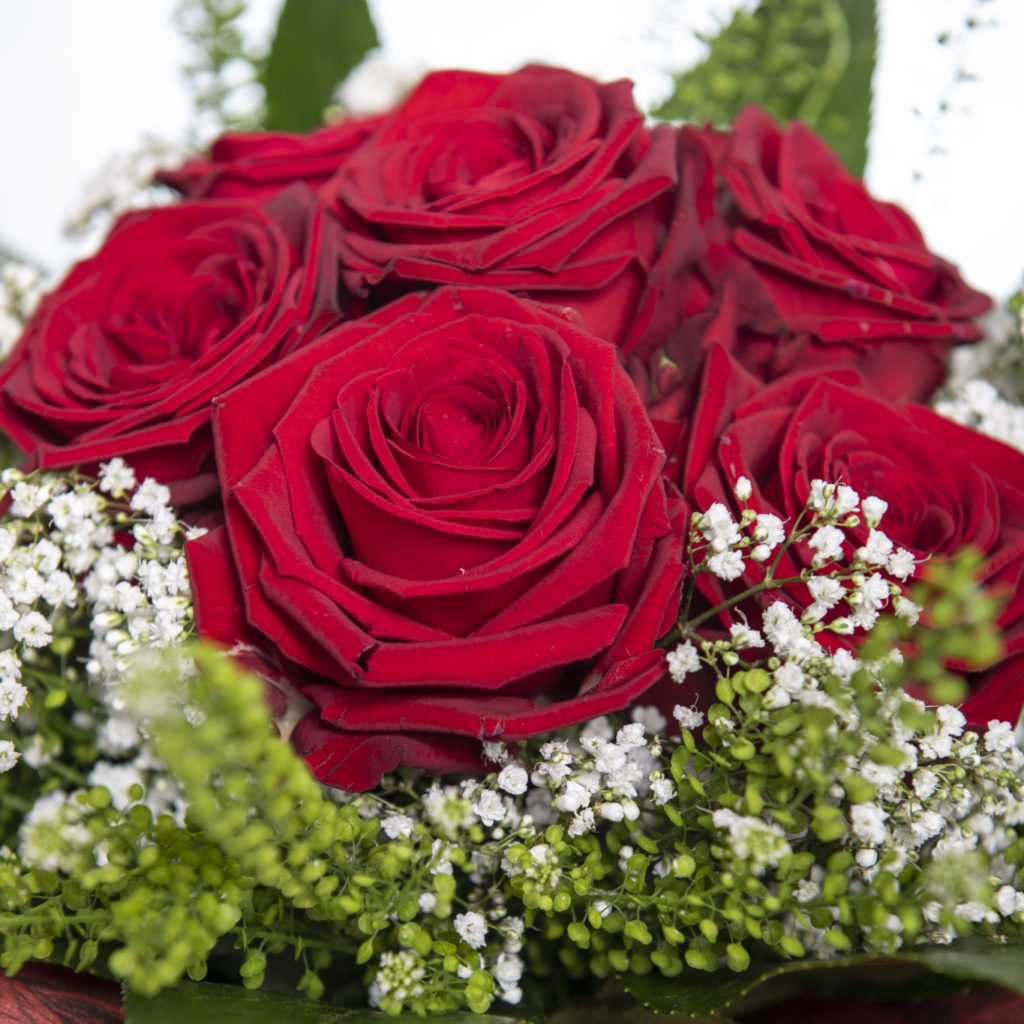 Time-Honoured Rose Bouquet - Alistair Floral Design