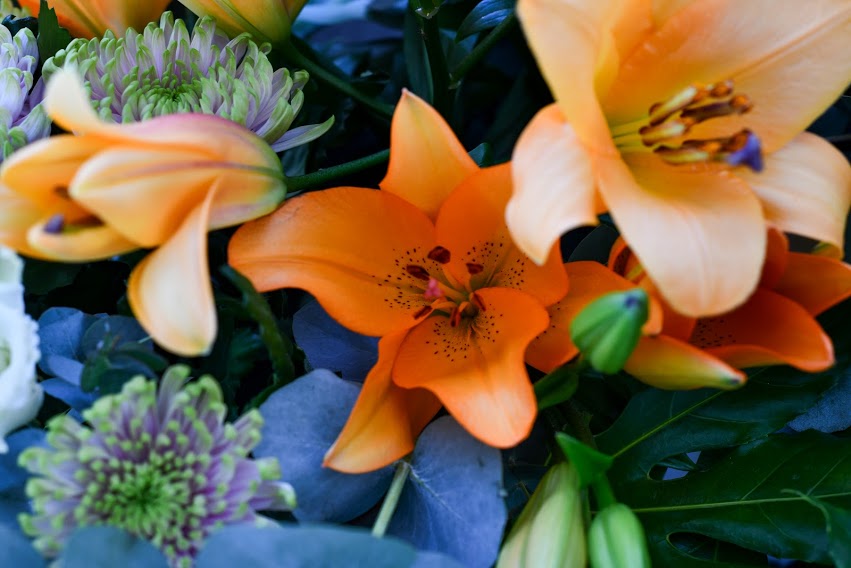 An open orange Lilly