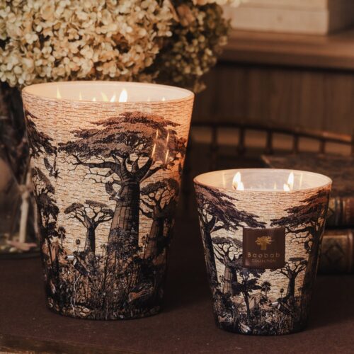 Sacred Trees Mankono Candle